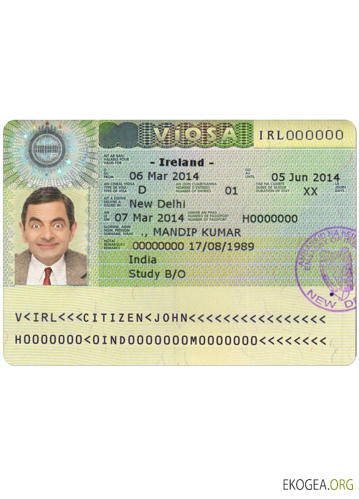 Visa IRLANDE template